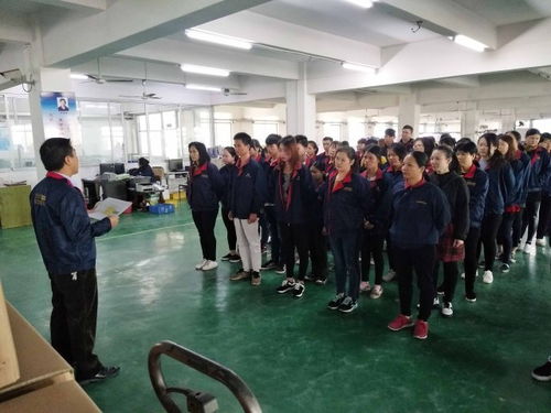 平頂山駐廠咨詢案例 BG電器通過攻關提升生產效率效果顯著