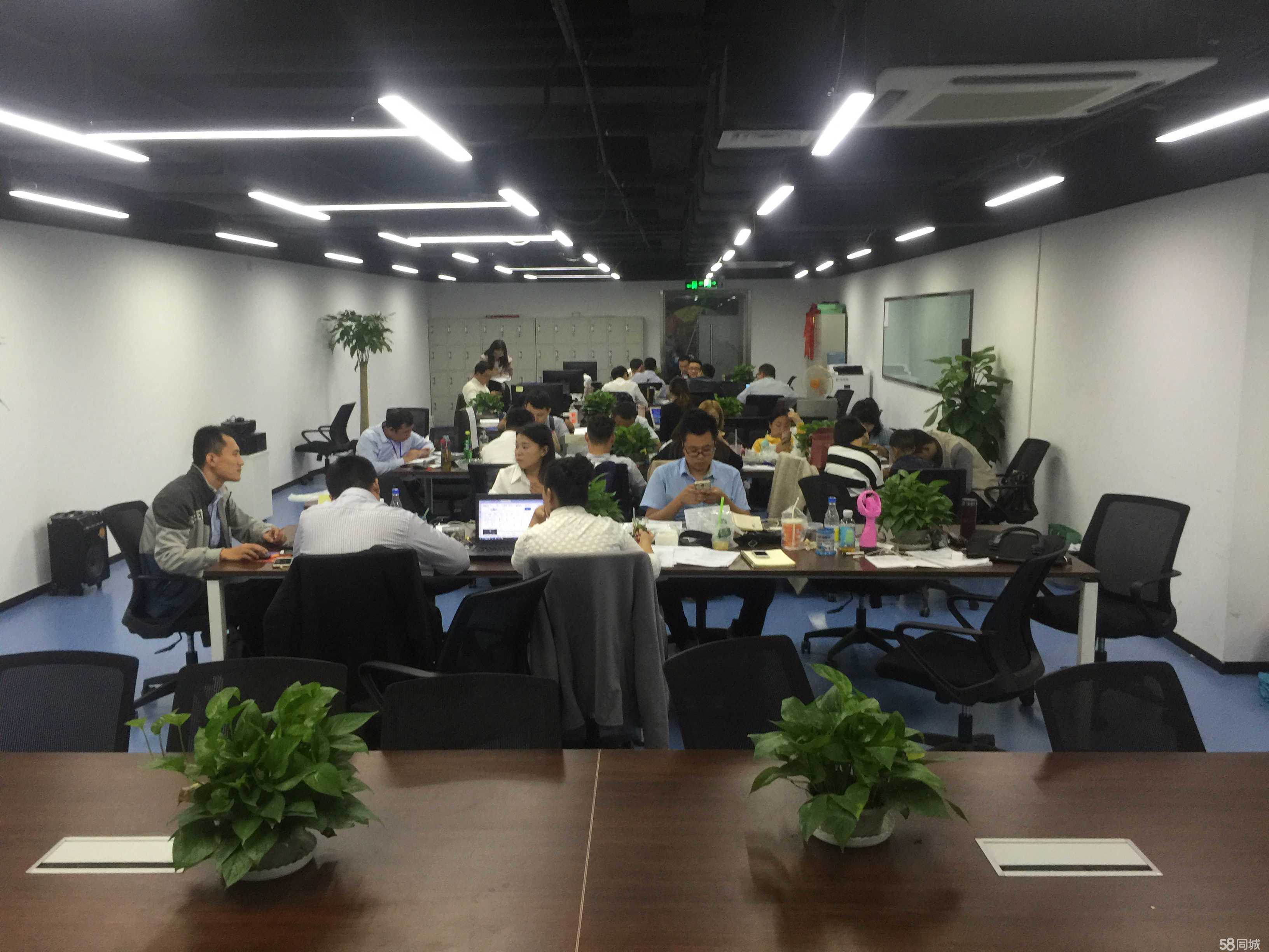 點榮商務信息咨詢 專業助力企業智慧決策